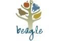 Ikona článku Program Beagle - II. a III. fenofáza