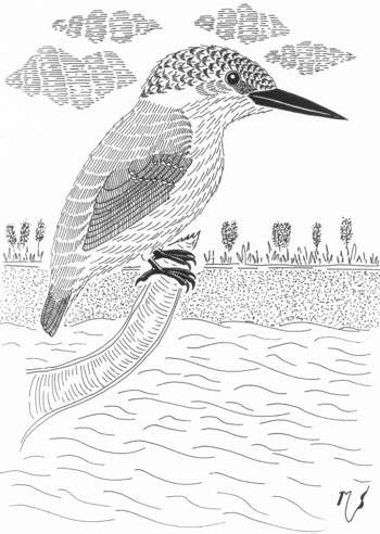 Ilustrácia rybárika