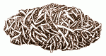 Ilustrácia trusu bobra