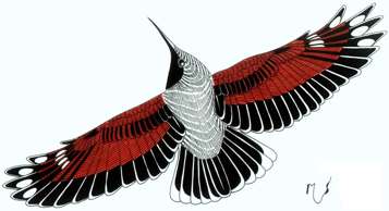 Ilustrácia murárika