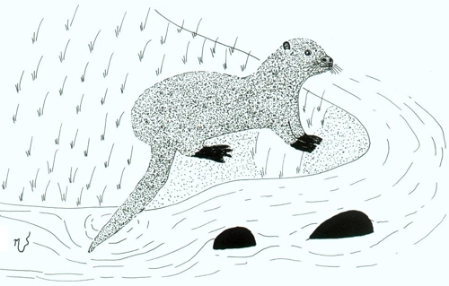 Ilustrácia vydry