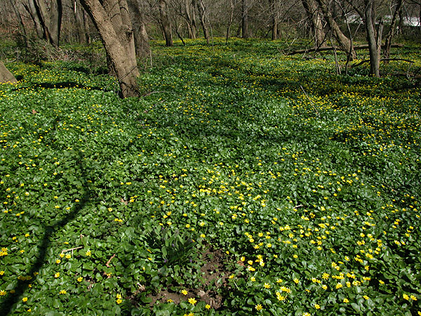 Fotografia blyskáča