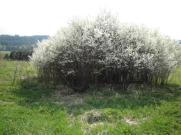 Obrázok 3
