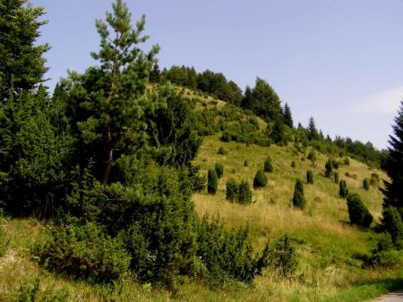 Fotografia z CHKO Poľana - Príslopy