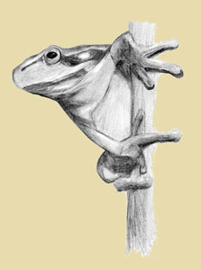 Ilustrácia